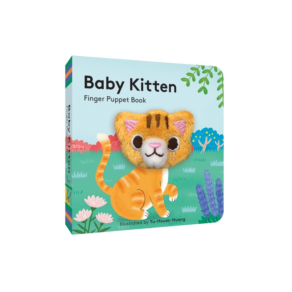 Baby Kitten
